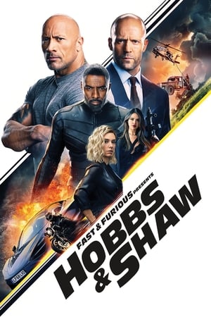 Fast & Furious 9 (2021) Hindi Dual Audio 450MB HD Poster Download - Filmyzilla